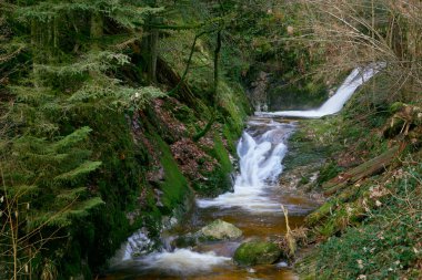 Alman Kara Orman Ulusal Parkı 'nın en değerli mücevheri olan Allerheiligen Şelaleleri' nin hayranlık uyandıran güzelliğini tecrübe edin. Bu muhteşem şelale, Kuzey 'deki en büyük doğal şelale.