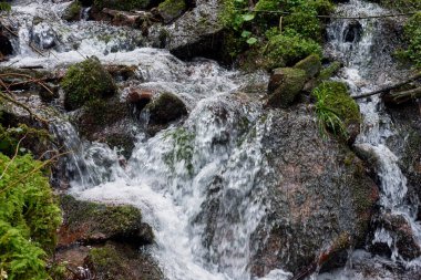 Kayalık kıyıları olan pürüzlü bir dağ nehri, nehrin kıyısında orijinal kaya konfigürasyonları, güzel turistik yerler. Nehir kıyısında, baharda, genç yeşil ağaç yaprakları. Yazın sert bir dağ nehri olur. Dağlık nehirlerin akıntısı