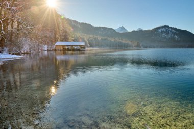 Huzurlu Kış Harikalar Diyarı: Buzlu Göl yüzeyinde süzülen İki Zarif Kuğu Altın Güneş Işığıyla yıkandı Donmuş Manzara Gösterileri Doğanın Kış Günündeki Huzurlu Güzelliği - Bu büyüleyici görüntü nefes kesici bir kış sahnesini tasvir ediyor
