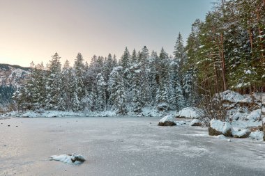 Zugspitze dağının eteğindeki donmuş Eibsee Gölü 'nün akşam manzarası, karla kaplı çam ağaçları ve karlı bir ormanla sakin bir kış manzarasını gözler önüne seriyor. Alacakaranlık Alp Harikalar Diyarı: Eibsee Gölü Karla kaplı Yansıtıyor