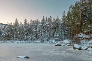 Bu nefes kesici fotoğraf, Zugspitze dağının eteğindeki donmuş Eibsee Gölü 'nün karla kaplı çam ağaçları, karlı bir orman ve karlı ormanın sakin güzelliğini gösteren sakin bir kış manzarasını yakalar.