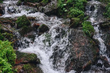 Dağ nehri suyu yeşil Alpler ormanında akar. Orman manzarasında nehir şelalesi. Güneşli bir günde Aoraki Ulusal Parkı 'nda kayaların arasından akan fahişe nehrinin yanındaki karla kaplı kayalık dağların manzarası.