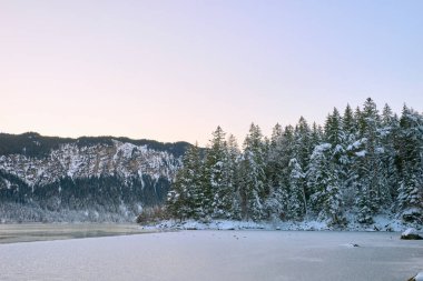 Parlak Mavi Gök 'ün altında kristal berrak sularda yansıyan Çam ağaçlarının arasına gizlenmiş Kar Tepeli Dağ Tepeleri ile çevrili Bakir Alp Gölü' nün Manzaralı Kış Panoraması. Bu nefes kesen manzara fotoğrafı...