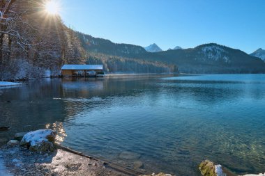 Huzurlu Kış Harikalar Diyarı: Buzlu Göl yüzeyinde süzülen İki Zarif Kuğu Altın Güneş Işığıyla yıkandı Donmuş Doğal Manzara Gösterileri Kış Günü 'nde Huzurlu Güzellik