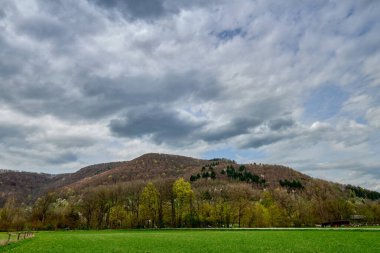 Serene Expansive Landscape with Lush Green Field, Wooden Fence, Yoğun Forest, Towering Hills, Overcast Sky, Early Spring or Late Autumn. Bu görüntü, doğanın sakin ve resimli bir görüntüsünü yakalar.
