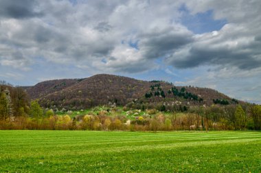 Serene Expansive Landscape with Lush Green Field, Wooden Fence, Yoğun Forest, Towering Hills, Overcast Sky, Early Spring or Late Autumn. Bu görüntü, doğanın sakin ve resimli bir görüntüsünü yakalar.