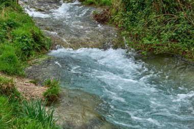 Serene Woodland Scene with Flowing Stream, Lush Green Forest, Gravel Path, Early Spring Atmoshere, Peaceful and Idyllic Setting, Serene Forest Stream Akıp Giden Çakıl Yolu