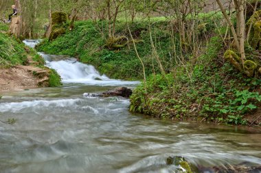 Canlı Turkuaz Akıntısı Yeşil Orman Peyzajı 'ndan Doğanın Dinamik Güzelliğini ve Huzurunu Gösteriyor. Bu yüksek çözünürlüklü bir fotoğraf. Canlı, hızlı akan bir akıntıyı yakalıyor.