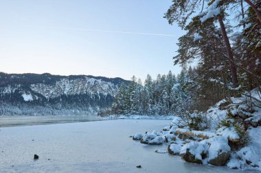 Büyüleyici Alacakaranlık Alp Harikalar Diyarı: Eibsee Gölü Kar Kaplamalı Zugspitze Dağı 'nı Aydınlatılmış Çam Ormanı' nın ortasında Yansıtır Kış Büyüleyici Manzarası Alman Kayak Resimlerinin Huzurlu Güzelliğini Yakalar