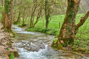 Verdant Plants ve Grass in a Serene Natural Setting tarafından çevrelenmiş köpüklü beyaz suyla yemyeşil yemyeşil sulardan akan turkuaz akarsu. Bu yüksek çözünürlüklü bir fotoğraf.