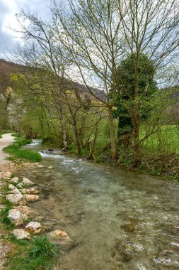 Bu yüksek çözünürlüklü fotoğraf verimli yeşillik, bulutlu gökyüzü, yuvarlanan yamaç, engebeli ağaç gövdesi ve sakin atmosferli sakin bir nehir manzarası yakalar. Nazikçe akan nehir