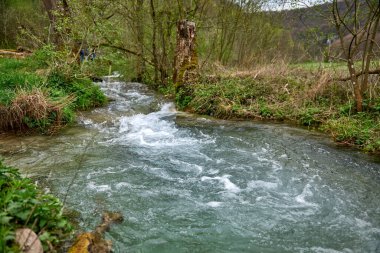 Bu yüksek çözünürlüklü bir fotoğraf canlı, hızlı akan bir akıntıyı çekiyor yeşil, doğal bir ortamda akıyor. Görüntünün merkezine hakim olan akarsu canlı bir turkuaz mavisi.