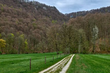 Sessiz Orman Yolu, yemyeşil çayırların arasından Bulutlu Tepelere doğru kıvrılıyor. Bu büyüleyici manzara sakin bir kır manzarası sergiliyor, doğa meraklıları için mükemmel.