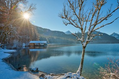 Huzurlu Kış Harikalar Diyarı: Donmuş Göl Açık Mavi Gök Altında Parlıyor Güneşli Kış Gününde Saf Buzlu Manzara Doğanın Huzurlu Güzelliğini Sabahın erken saatlerinde Yakalıyor Bu nefes kesici resim sergileniyor