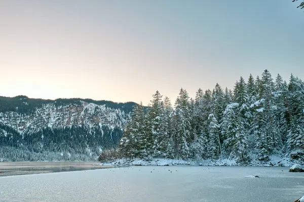 Büyüleyici Alacakaranlık Alp Harikalar Diyarı: Eibsee Gölü Kar Kaplamalı Zugspitze Dağı 'nı Aydınlatılmış Çam Ormanı' nın ortasında Yansıtır Kış Büyüleyici Manzarası Alman Kayak Resimlerinin Huzurlu Güzelliğini Yakalar