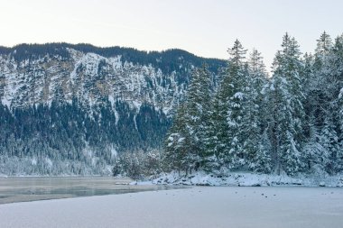 Büyüleyici Alacakaranlık Alp Harikalar Diyarı: Eibsee Gölü Kar Kaplamalı Zugspitze Dağı 'nı Aydınlatılmış Çam Ormanı' nın ortasında Yansıtır Kış Büyüleyici Manzarası Alman Kayak Resimlerinin Huzurlu Güzelliğini Yakalar