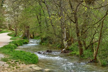 Serene Woodland Scene with Flowing Stream, Lush Green Forest, Gravel Path, Early Spring Atmosfer, Peaceful and Idyllic Setting. Bu resim, berrak ve huzurlu bir doğal ortam yakalar.