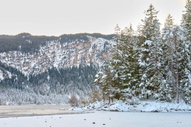 Parlak Mavi Gök 'ün altında kristal berrak sularda yansıyan Çam ağaçlarının arasına gizlenmiş Kar Tepeli Dağ Tepeleri ile çevrili Bakir Alp Gölü' nün Manzaralı Kış Panoraması. Bu nefes kesen manzara fotoğrafı...