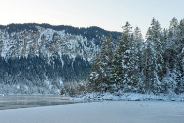 Parlak Mavi Gök 'ün altında kristal berrak sularda yansıyan Çam ağaçlarının arasına gizlenmiş Kar Tepeli Dağ Tepeleri ile çevrili Bakir Alp Gölü' nün Manzaralı Kış Panoraması. Bu nefes kesen manzara fotoğrafı...
