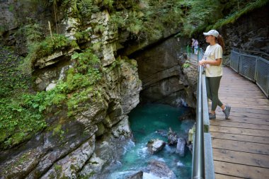 Yazın Alplerde Yürüyüş Yolu 'nda Manzaralı Dağ Nehri Manzarası İzleyen Çarpıcı Genç Kadın. Idyllic Alpine Manzarası Açık Hava Macerası ve Doğal Güzelliğin Özünü Yakalıyor. Bu büyüleyici görüntüde genç ve güzel bir kadın var.