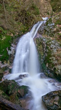 Kendini bu büyüleyici şelale sahnesinin dingin güzelliğine bırak. Bir dağ deresi verimli bir ormanlık alanda zarifçe çağlayarak bir dizi küçük şelale ve akıntı oluşturur. Bu fotoğrafta kullanılan uzun pozlama tekniği
