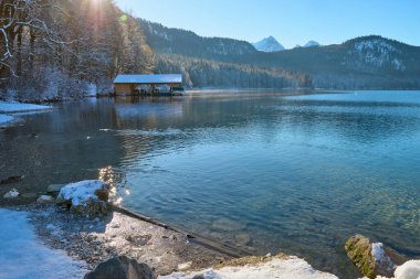 Kısmen Donmuş Göl 'de Zarif Yüzen Beyaz Kuğular Kış Manzarası ile çevrelenmiş Güneş Işığının Sakin Suyu Yansıtarak Romantik Vahşi Yaşam Sahnesi - Nefes kesici bir çift göz alıcı kış fotoğrafçılığı