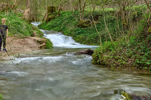Canlı Turkuaz Akıntısı Yeşil Orman Peyzajı 'ndan Doğanın Dinamik Güzelliğini ve Huzurunu Gösteriyor. Bu yüksek çözünürlüklü bir fotoğraf canlı, hızlı akan bir akıntıyı çekiyor yeşil, doğal bir ortamda akıyor. Nehir...