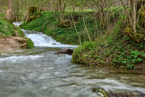 Serene Woodland Akıntısı Çakıl Yolu ve Yeşil Tepe Örtüsü Doğanın Huzurlu Güzelliğini Ele Geçiriyor. Bu büyüleyici sahne, temiz ve sığ bir akıntının canlı bir şekilde aktığı bozulmamış bir ekosistem sergiliyor.