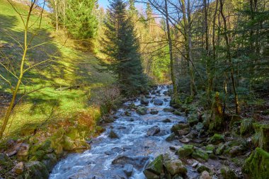 Alman Kara Orman Ulusal Parkı 'nın en değerli mücevheri olan Allerheiligen Şelaleleri' nin hayranlık uyandıran güzelliğini tecrübe edin. Kuzey Kara Orman 'daki en büyük doğal şelale olan bu muhteşem şelale yaklaşık 100 metre derinliğe daldı.