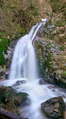 Allerheiligen Şelaleleri 'nin nefes kesici güzelliğini keşfedin. Alman meşhur Kara Orman Ulusal Parkı' nda saklı bir mücevher. Bu çarpıcı uzun pozlama fotoğrafı evcilleştirilmemiş doğanın özünü yakalar ve güçlü bir dağ deresini gösterir.