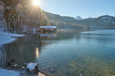 Huzurlu Kış Harikalar Diyarı: Buzlu Göl yüzeyinde süzülen İki Zarif Kuğu Altın Güneş Işığıyla yıkandı Donmuş Manzara Gösterileri Doğanın Kış Günündeki Huzurlu Güzelliği - Bu büyüleyici görüntü nefes kesici bir kış sahnesini tasvir ediyor