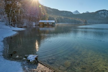 Kısmen Donmuş Göl 'de Zarif Yüzen Beyaz Kuğular Kış Manzarası ile çevrelenmiş Güneş Işığının Sakin Suyu Yansıtarak Romantik Vahşi Yaşam Sahnesi - Nefes kesici bir çift göz alıcı kış fotoğrafçılığı