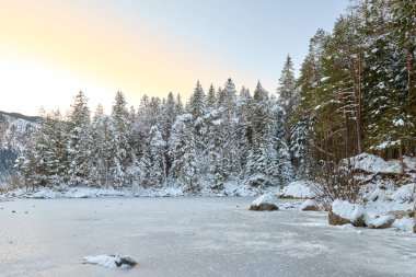 Parlak Mavi Gök 'ün altında kristal berrak sularda yansıyan Çam ağaçlarının arasına gizlenmiş Kar Tepeli Dağ Tepeleri ile çevrili Bakir Alp Gölü' nün Manzaralı Kış Panoraması. Bu nefes kesen manzara fotoğrafı...