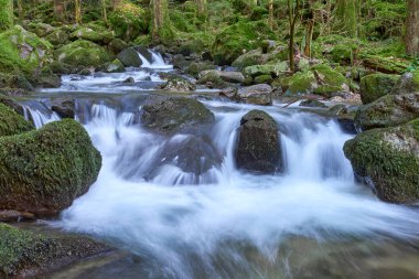 Alman Kara Orman Ulusal Parkı 'nın en değerli mücevheri olan Allerheiligen Şelaleleri' nin hayranlık uyandıran güzelliğini tecrübe edin. Kuzey Kara Orman 'daki en büyük doğal şelale olan bu muhteşem şelale yaklaşık 100 metre derinliğe daldı.