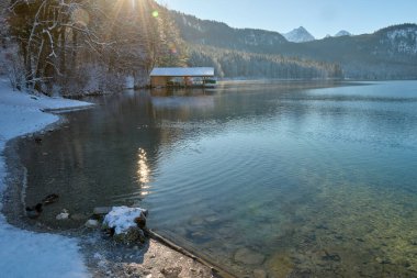 Huzurlu Kış Harikalar Diyarı: Donmuş Göl, Altın Sabah Donmuş Dağları Yansıtır. Buz gibi buzlu manzaralar, Kıtır Güneşli bir günde Alp Gölü 'nün nefes kesici güzelliğini yakalar. Bu büyüleyici görüntü, sakin bir kış manzarasını gözler önüne serer.