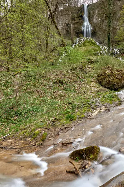 Bu, çağlayan bir şelalenin yer aldığı manzaralı bir ormanın yüksek çözünürlüklü fotoğrafı. Şelale merkezde, yosun kaplı bir kaya yüzeyinden orman zeminini kesen dar ve hızlı bir dereye akıyor. Su.