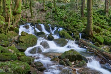 Alman Kara Orman Ulusal Parkı 'nın en değerli mücevheri olan Allerheiligen Şelaleleri' nin hayranlık uyandıran güzelliğini tecrübe edin. Kuzey Kara Orman 'daki en büyük doğal şelale olan bu muhteşem şelale yaklaşık 100 metre derinliğe daldı.