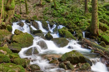 Almanya 'daki Kara Orman Ulusal Parkı' ndaki Allerheiligen Şelaleleri 'nin uzun pozlama tekniğiyle ele geçirilmiş nefes kesici görüntüsü. Pürüzsüz, ipeksi su, yoğun yeşil ormanlarla çevrili yosunlu kayalıklardan süzülerek sakin ve mistik bir hava yaratır.
