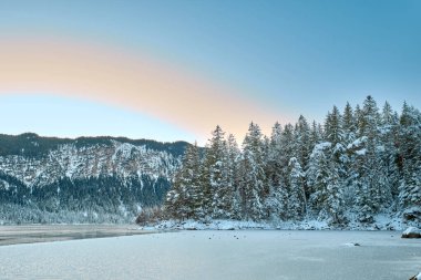 Parlak Mavi Gök 'ün altında kristal berrak sularda yansıyan Çam ağaçlarının arasına gizlenmiş Kar Tepeli Dağ Tepeleri ile çevrili Bakir Alp Gölü' nün Manzaralı Kış Panoraması. Bu nefes kesen manzara fotoğrafı...