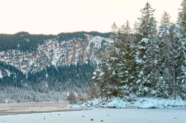 Bu nefes kesici fotoğraf, Zugspitze dağının eteğindeki donmuş Eibsee Gölü 'nün karla kaplı çam ağaçları, karlı bir orman ve karlı ormanın sakin güzelliğini gösteren sakin bir kış manzarasını yakalar.