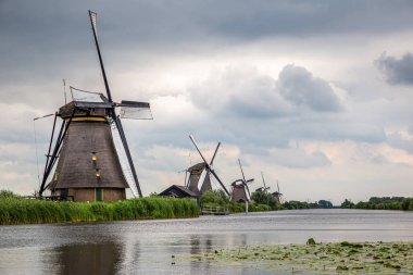 Yel değirmenleri, anaokulunda nilüferlerin ön planda durduğu bir kanalda pompalanıyor.
