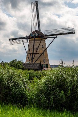 Yel değirmeni rüzgar pompası sazlıkların arkasında