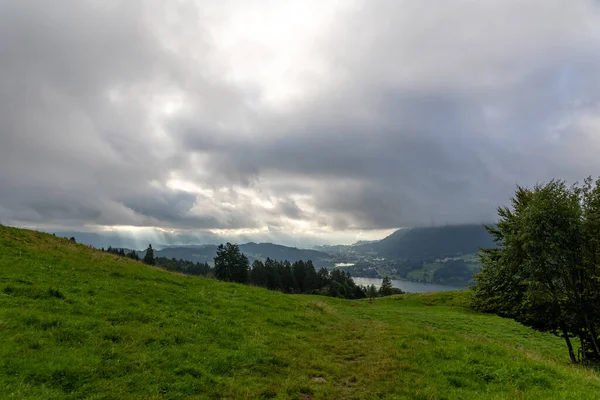 Alman Alplerinde Alpsee ve Immenstadt 'a ön planda çayır ile bakın