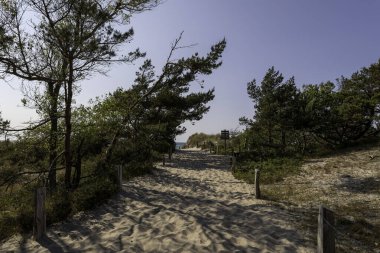 Sakin bir günbatımı, Darss Yarımadası 'nda Baltık Denizi' nin üzerindeki gökyüzünü boyar ve su yüzeyini aydınlatır. Siluetli bir dal manzaraya derinlik katar, barışçıl düşüncelere yol açar..