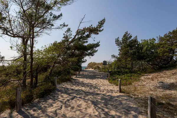 Sakin bir günbatımı, Darss Yarımadası 'nda Baltık Denizi' nin üzerindeki gökyüzünü boyar ve su yüzeyini aydınlatır. Siluetli bir dal manzaraya derinlik katar, barışçıl düşüncelere yol açar..