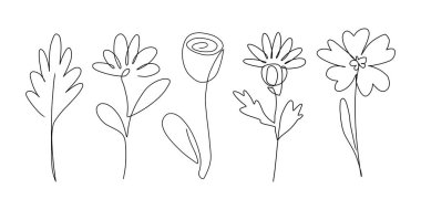 Çeşitli çiçeklerin minimalist çizimi ve beyaz arkaplanda siyah yapraklar