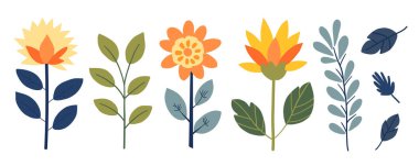 Beyaz arka planda izole edilmiş düz çiçek seti, vektör bitki çizimi, çiçek seti