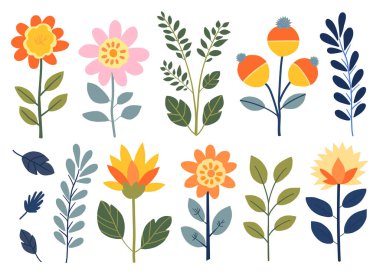 Çeşitli çiçek ve yaprakların yer aldığı renkli, düz desenli çiçek desenleri koleksiyonu. Yaratıcı ve dekoratif projeler için bu canlı ve kaprisli set.