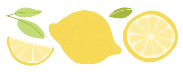 Limon dilimi, limon dilimi ve beyaz arka planda yeşil yapraklı limon diliminin parlak ve taze dijital bir çizimi. Canlı ve temiz tasarım.
