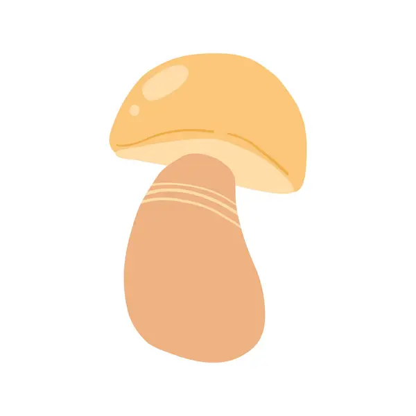Boletus mantarının kırsal çizimi, vahşi yiyecek arayışı, aşçılık sanatı ve doğal gıdalar için mükemmeldir. Sonbahar temaları ve organik, topraksı yemekler için ideal..